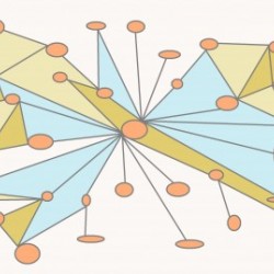 The web of spiderman